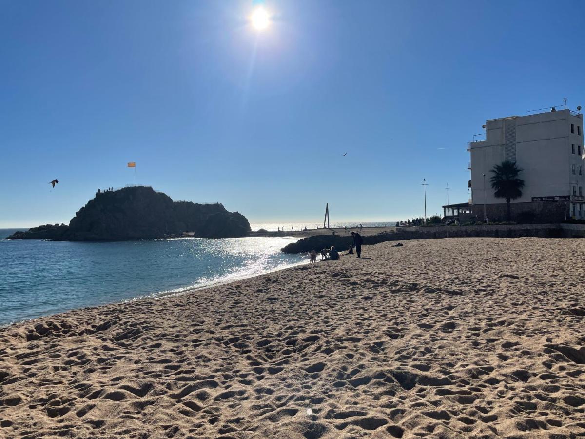 Villa Herlinda Costa Brava - With Swiming Pool マサネッド・ダ・ラ・セルバ エクステリア 写真
