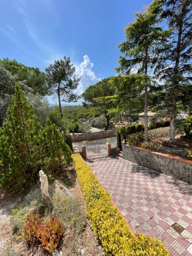 Villa Herlinda Costa Brava - With Swiming Pool マサネッド・ダ・ラ・セルバ エクステリア 写真