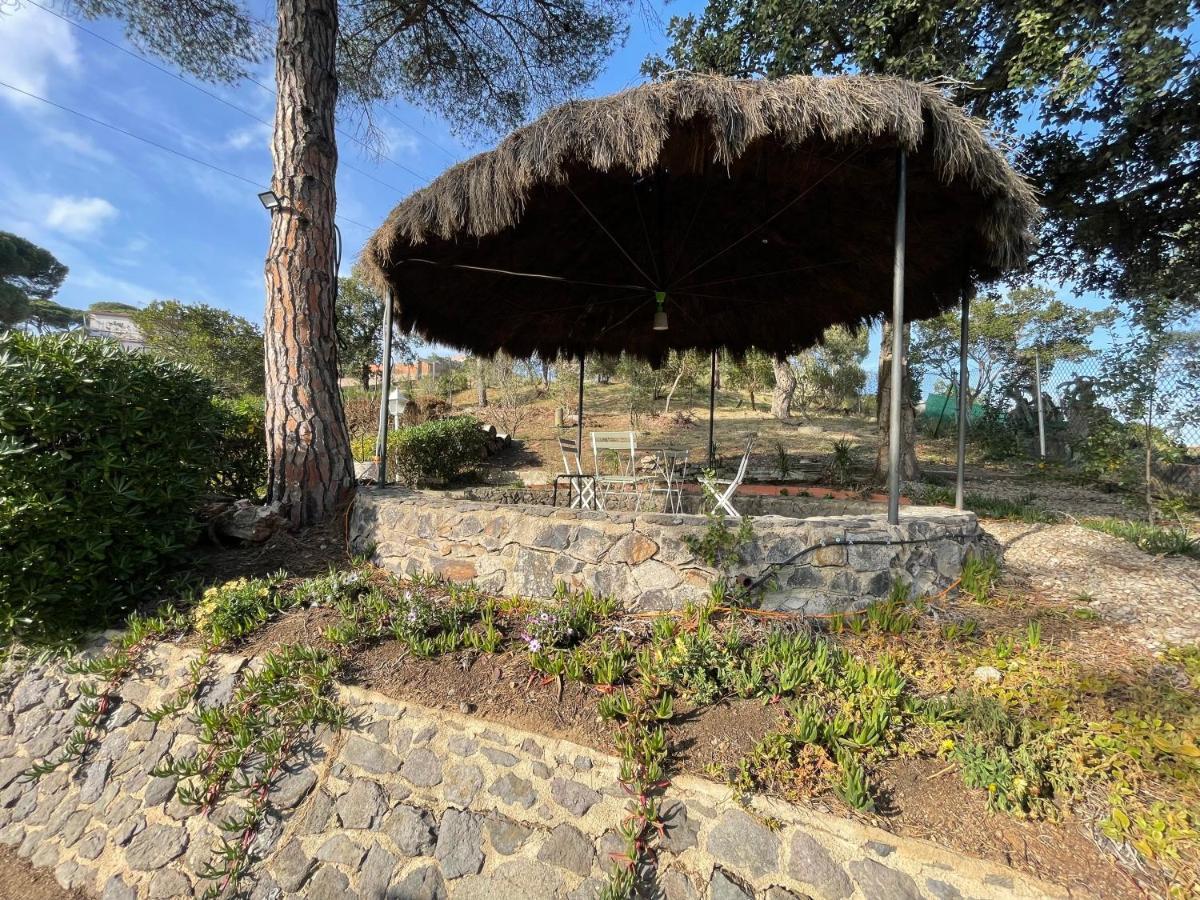 Villa Herlinda Costa Brava - With Swiming Pool マサネッド・ダ・ラ・セルバ エクステリア 写真